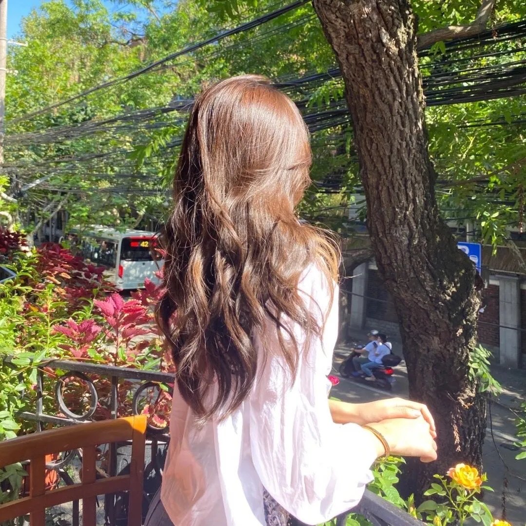 杜鹃的婚约
